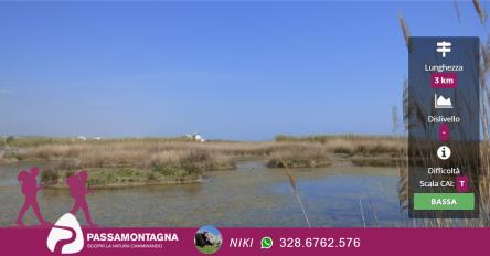 Darwin Day: escursione alla Riserva Naturale della Sentina