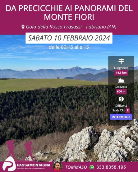 Da Precicchie ai panorami del Monte Fiori