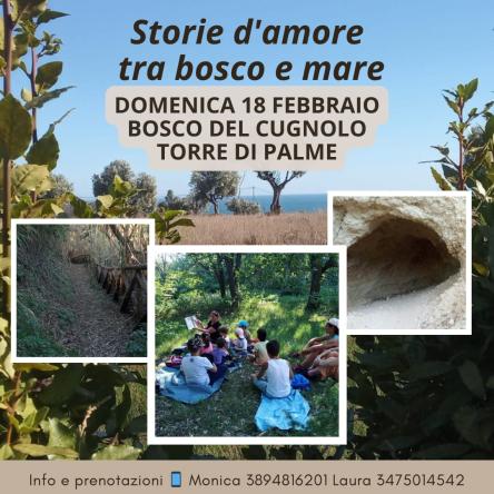 Storie d' amore tra bosco e il mare