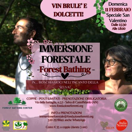 IMMERSIONE FORESTALE