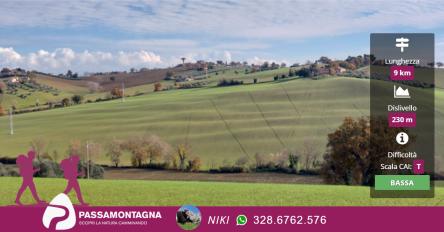 Escursione a Morro d’Alba tra vigneti e paesaggi rurali