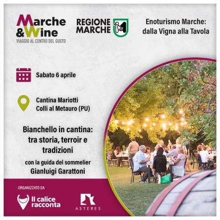 Degustazione alla cantina Mariotti Colli al Metauro