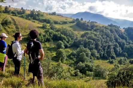 Piani di Ragnolo: dentro un dipinto
