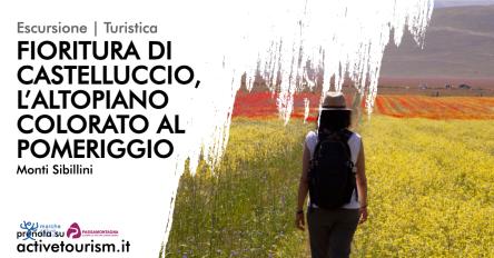 Fioritura di Castelluccio, l’altopiano colorato