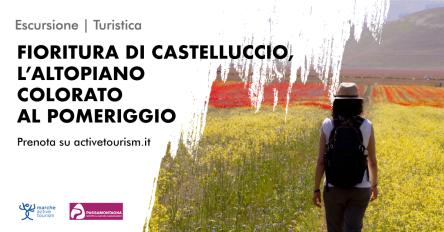 Fioritura di Castelluccio, l’altopiano colorato al pomeriggio
