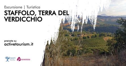 Staffolo, Terra del Verdicchio
