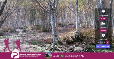 Carbonara Day: escursione al Bosco di Tecchie e pranzo al Poggio