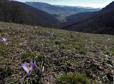 Dai Piani di Montelago alla Valle della Scurosa