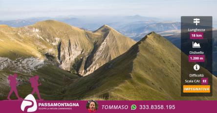 Valle del Fargno e Punta Bambucerta