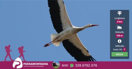 Il popolo migratore del San Bartolo