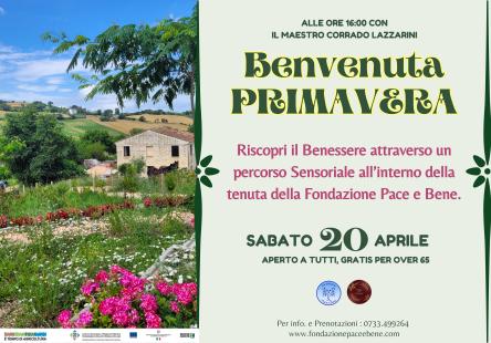 Cene e ballo gratis per over 65