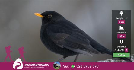 Il paesaggio sonoro del San Bartolo