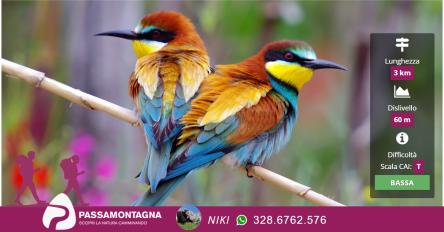 EcoTuristici: Gruccioni e birdwatching alla Valle dei Tufi