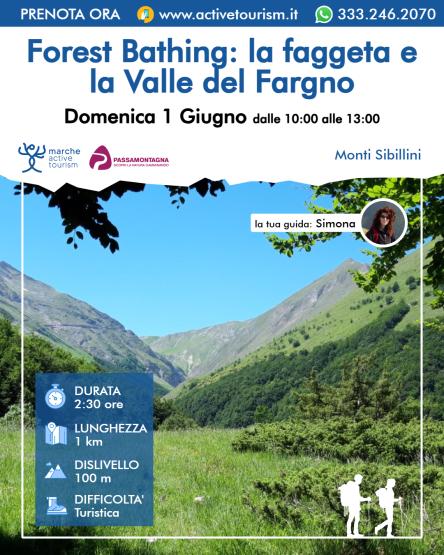 Forest Bathing: la faggeta e la Valle del Fargno