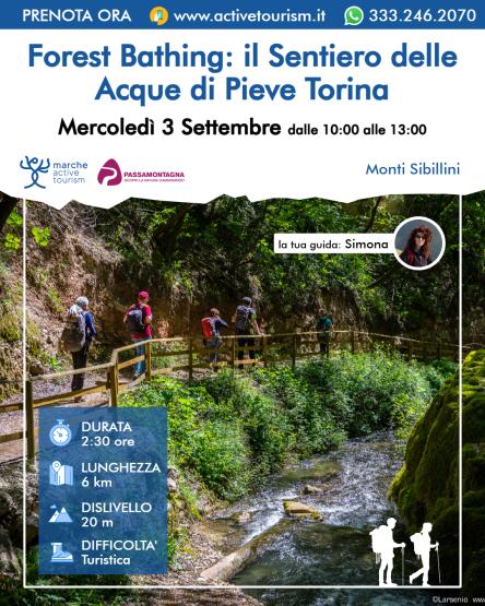 Forest Bathing: il Sentiero delle Acque di Pieve Torina