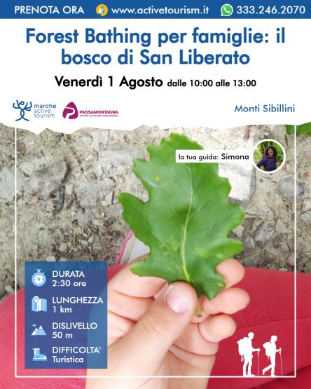Forest Bathing per famiglie: il bosco di San Liberato