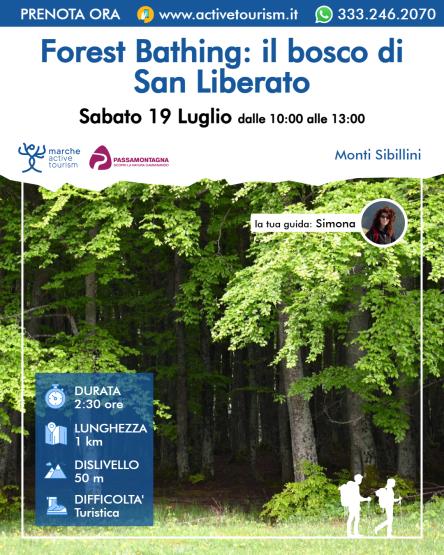 Forest Bathing: il bosco di San Liberato