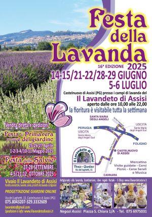 Fioritura della lavanda a Il Lavandeto Di Assisi