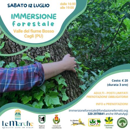IMMERSIONE FORESTALE