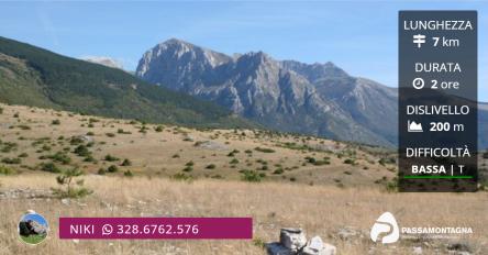 Piani di Macereto: escursione, tramonto e pecorini