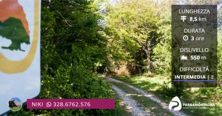 Da Pian dell’Elmo alla vetta del Monte San Vicino