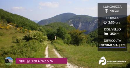 Monte Valmontagnana: escursione e birdwatching