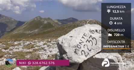 Escursione a Monte Porche e Palazzo Borghese
