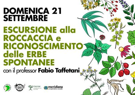 Escursione alla Roccaccia e riconoscimento delle erbe spontanee