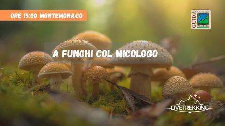 A funghi col Micologo sui Sibillini