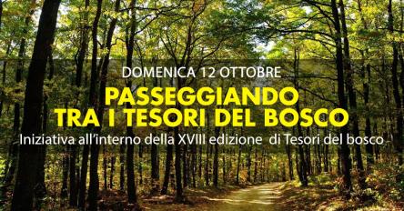 Passeggiando tra i tesori del bosco