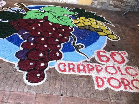Grappolo d'Oro