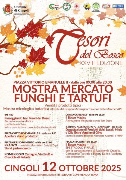 tesori del bosco 2025