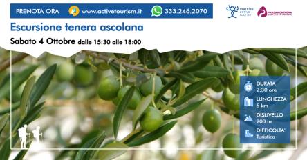 Escursione tenera ascolana