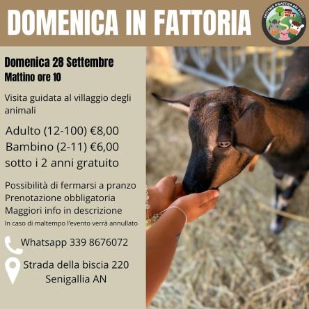 Percorso  “Cibo & Coccole”