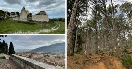 Trek della Foresta delle Cesane