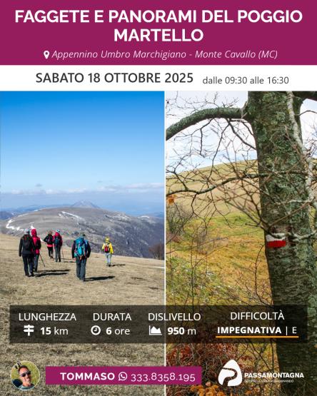 Faggete e panorami del Poggio Martello