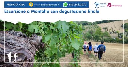 Escursione a Montalto con degustazione finale