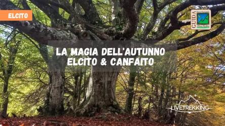 La Magia dell'autunno la Faggeta di Canfaito