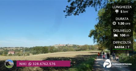 Festa dell’Olio nuovo: escursione a Scapezzano