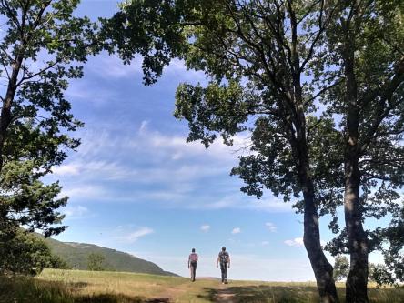 Ai confini dei Sibillini: antiche rocche, campagne, panorami e Merenda finale!