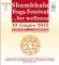 Shambhala Yoga Festival... for Wellness