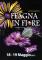 OFFAGNA IN FIORE 2013
