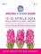 ANCONA FLOWER SHOW 2014