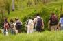 Il Ponticello - Wine Trekking nel Parco e i “Suoni della Natura”!
