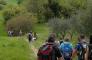 Il Ponticello - Wine Trekking nel Parco: le Voci della Notte, i rapaci notturni!