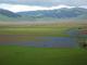 FIORITURA DEI PIANI DI CASTELLUCCIO