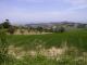 Campagna di Velluto