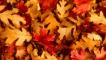 Festa dell'Equinozio d'Autunno