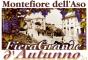 FIERA GRANDE D'AUTUNNO
