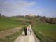 Camminata da Scapezzano a Roncitelli